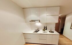 Skysuites@Anson (D2), Apartment #514496741